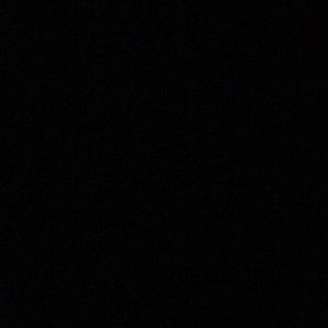 Meet your Posher, Ryann